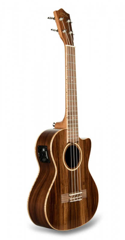 dnt60391_48850