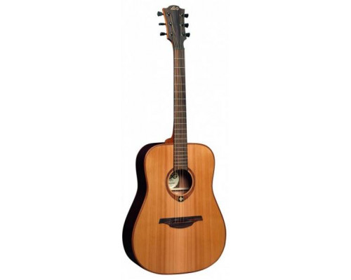 dtp37047_lag_t-100d_gitara-akusticheskaya_113978-500x400