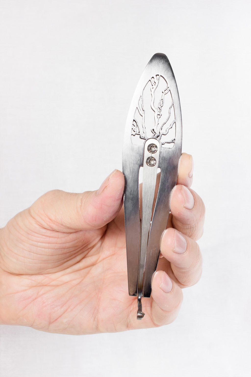 ae140477_2a3f_11eb_ab43_001e67103b79_IGV_008_3