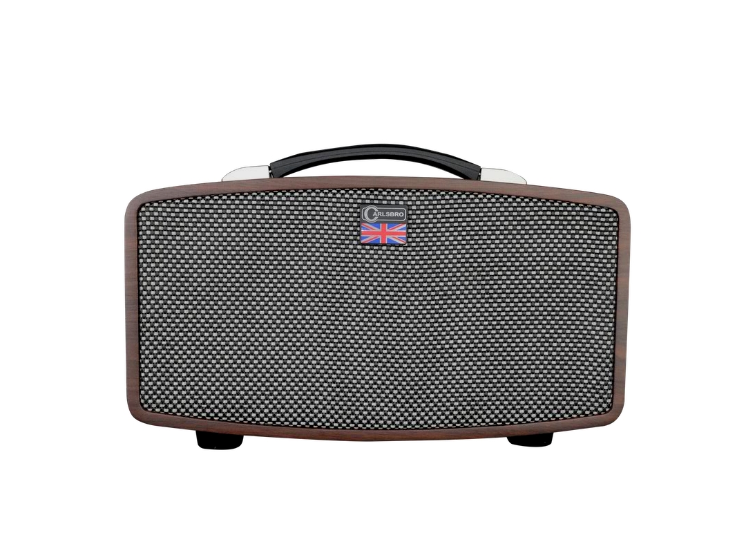 Carlsbro-Stingray-guitar-amplifier-D5-front