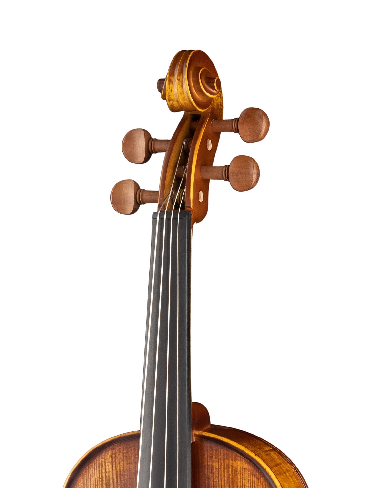 24e992c0_5d9b_11e8_85e5_001e67103b78_9b03a3b0_4869_11ec_8a9d_001e67103b79_3 1