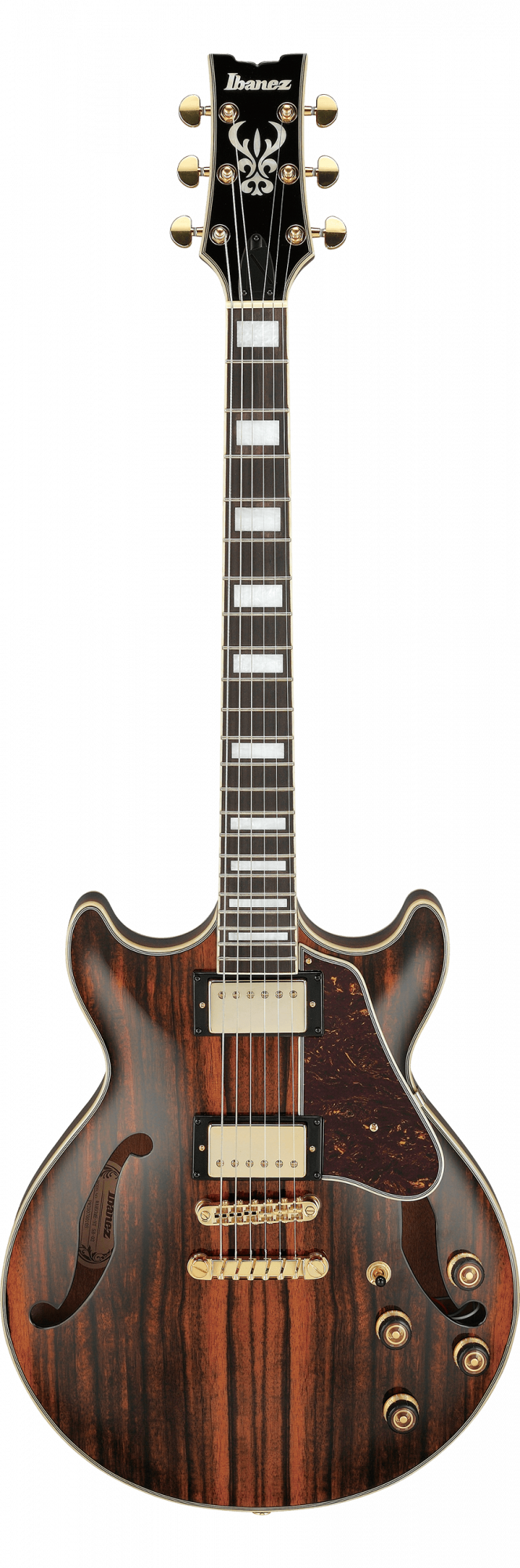 p_region_AM93ME_NT_5B_04[1]